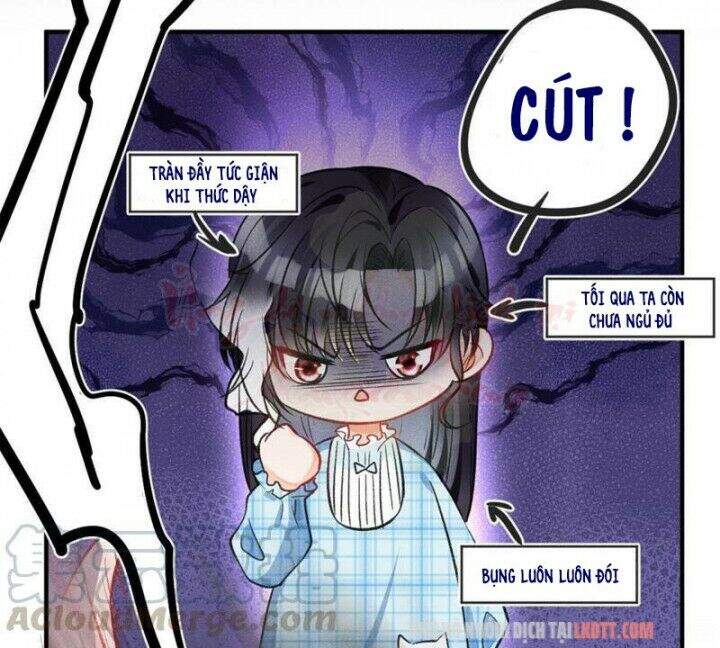 Tôi Trở Thành Tổ Tông Của 5 Vị Đại Lão Chapter 8 - Trang 2