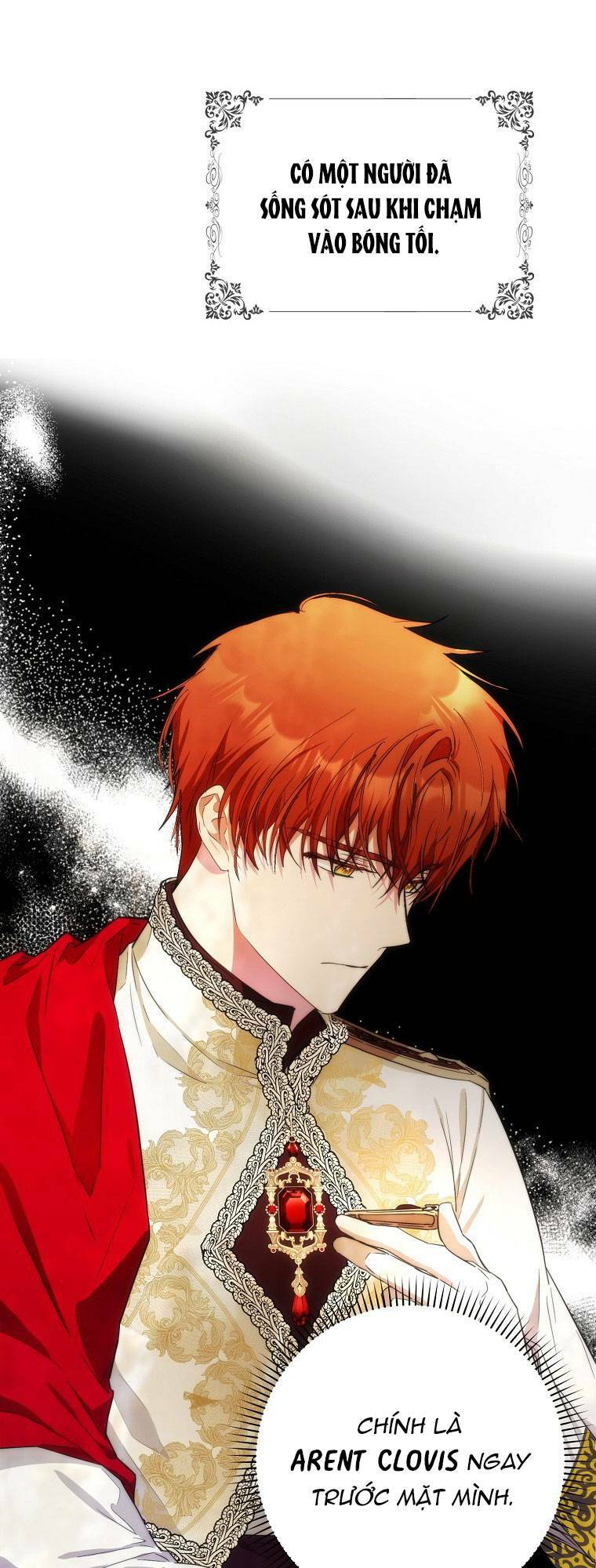 Tôi Trở Thành Vợ Nam Chính Chapter 39 - Trang 2