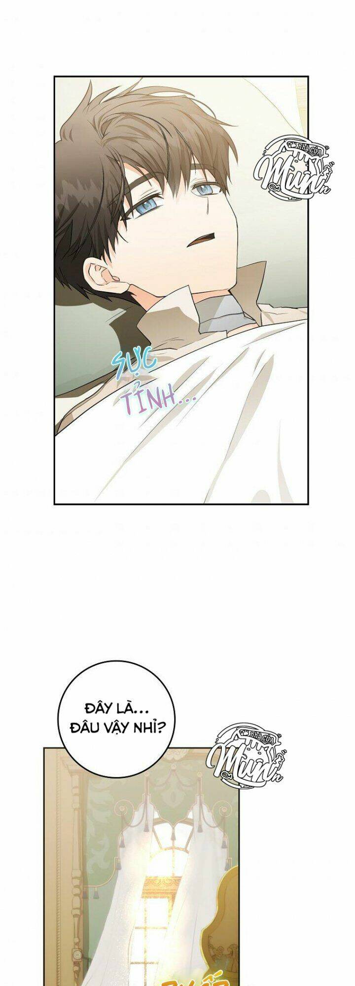 Tôi Trở Thành Vợ Nam Chính Chapter 8 - Trang 2