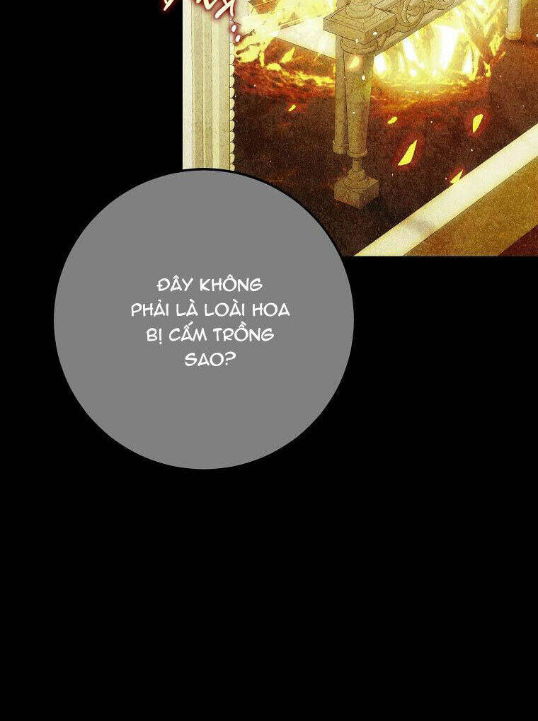 Tôi Trở Thành Vợ Nam Chính Chapter 93 - Trang 2