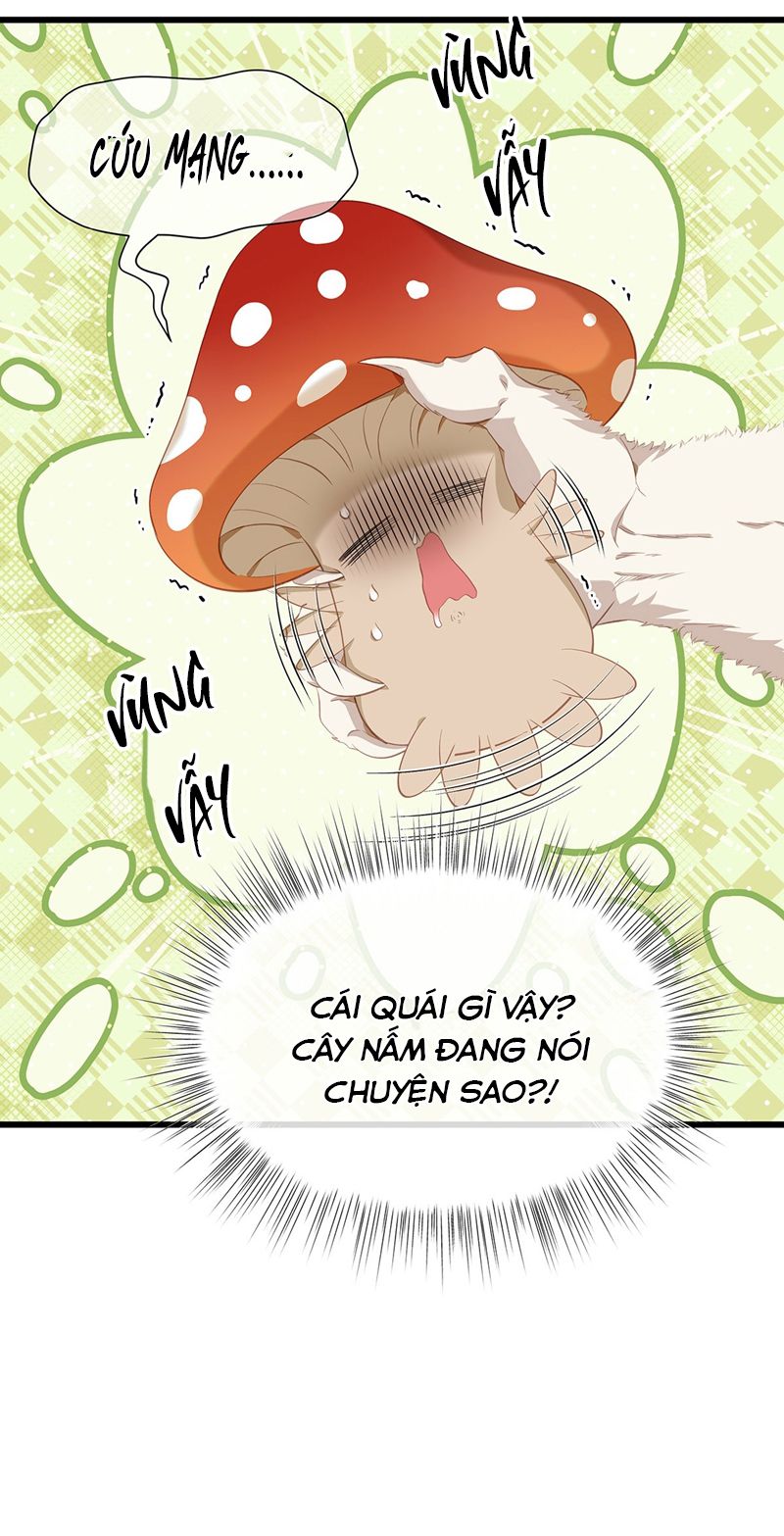 Tôi Trùng Sinh Trở Thành Tiểu Ác Long Của Vương Tử Điện Hạ Chapter 14 - Trang 2