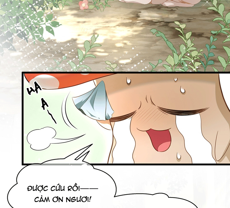 Tôi Trùng Sinh Trở Thành Tiểu Ác Long Của Vương Tử Điện Hạ Chapter 15 - Trang 2