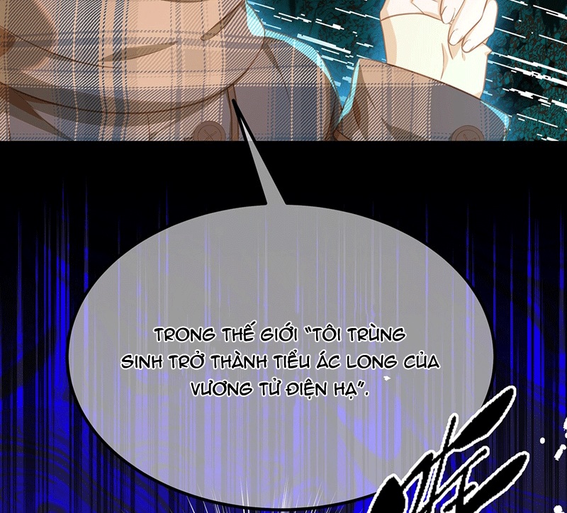 Tôi Trùng Sinh Trở Thành Tiểu Ác Long Của Vương Tử Điện Hạ Chapter 15 - Trang 2