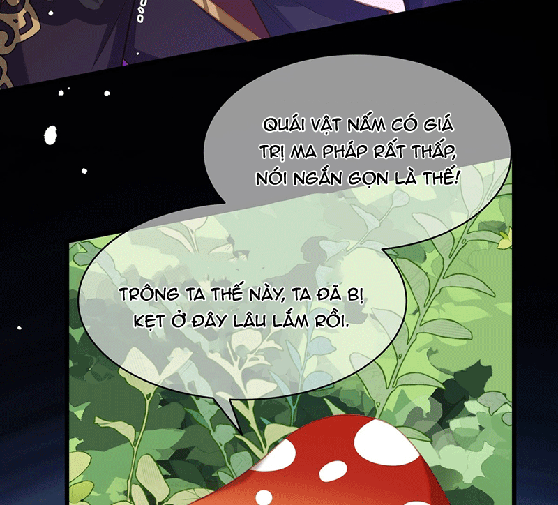 Tôi Trùng Sinh Trở Thành Tiểu Ác Long Của Vương Tử Điện Hạ Chapter 15 - Trang 2
