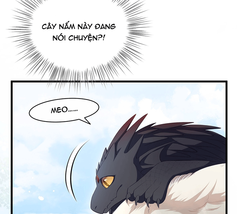 Tôi Trùng Sinh Trở Thành Tiểu Ác Long Của Vương Tử Điện Hạ Chapter 15 - Trang 2