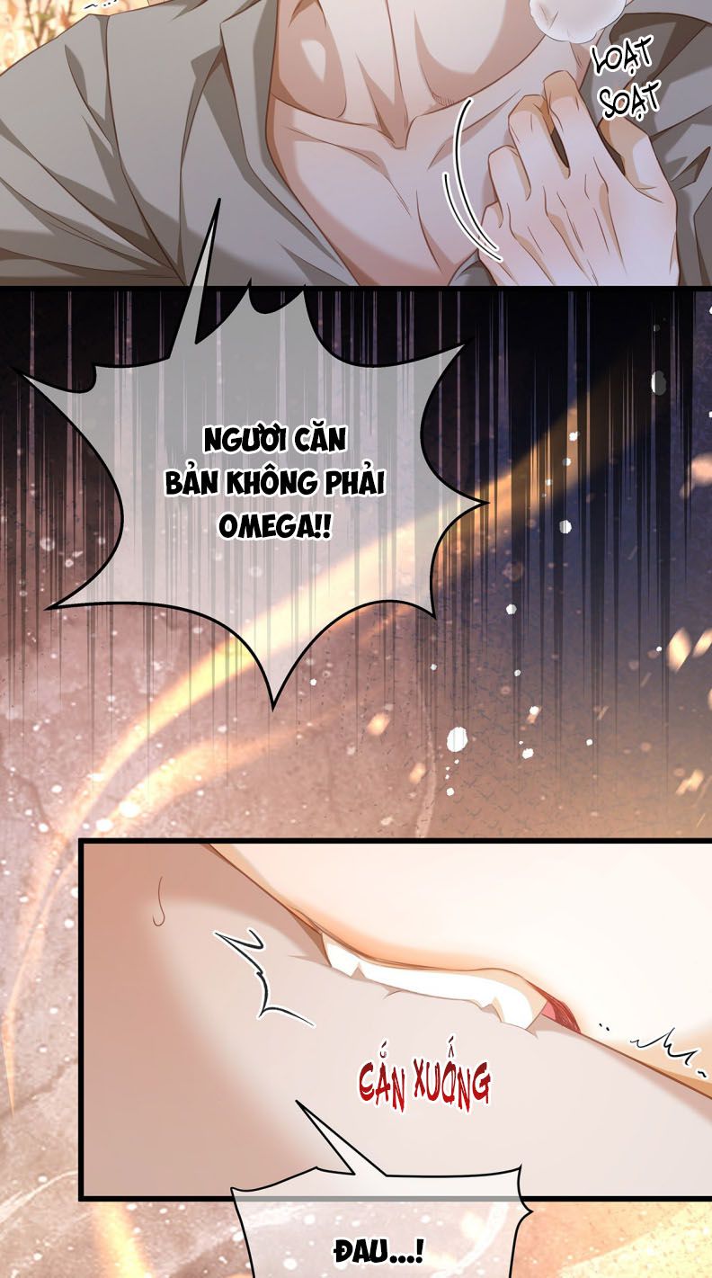 Tôi Trùng Sinh Trở Thành Tiểu Ác Long Của Vương Tử Điện Hạ Chapter 31 - Trang 2