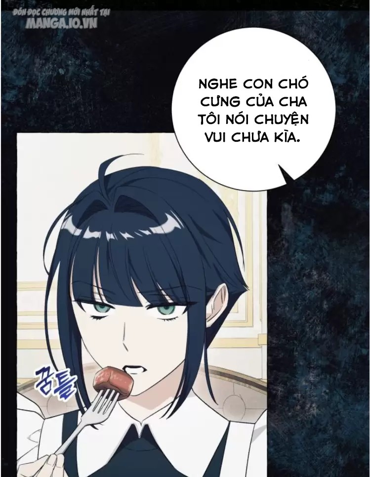 Tôi Tưởng Đó Chỉ Là Tiểu Thuyết Trọng Sinh Bình Thường Chapter 26 - Trang 2