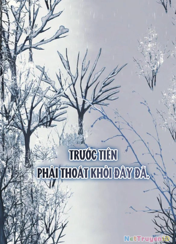 Tôi Tưởng Đó Chỉ Là Tiểu Thuyết Trọng Sinh Bình Thường Chapter 75 - Trang 2