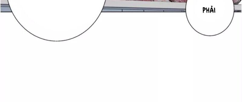 Tôi Viết Sách Để Thăng Cấp Chapter 61 - Trang 2