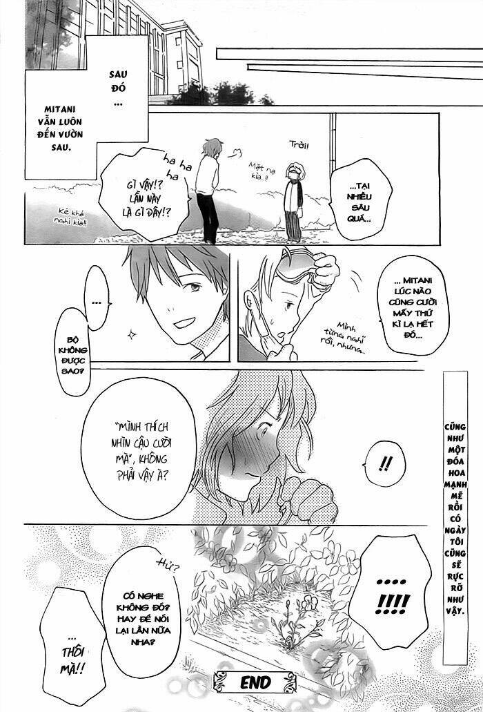 Tổng Hợp One Shot Chapter 200 - Trang 2