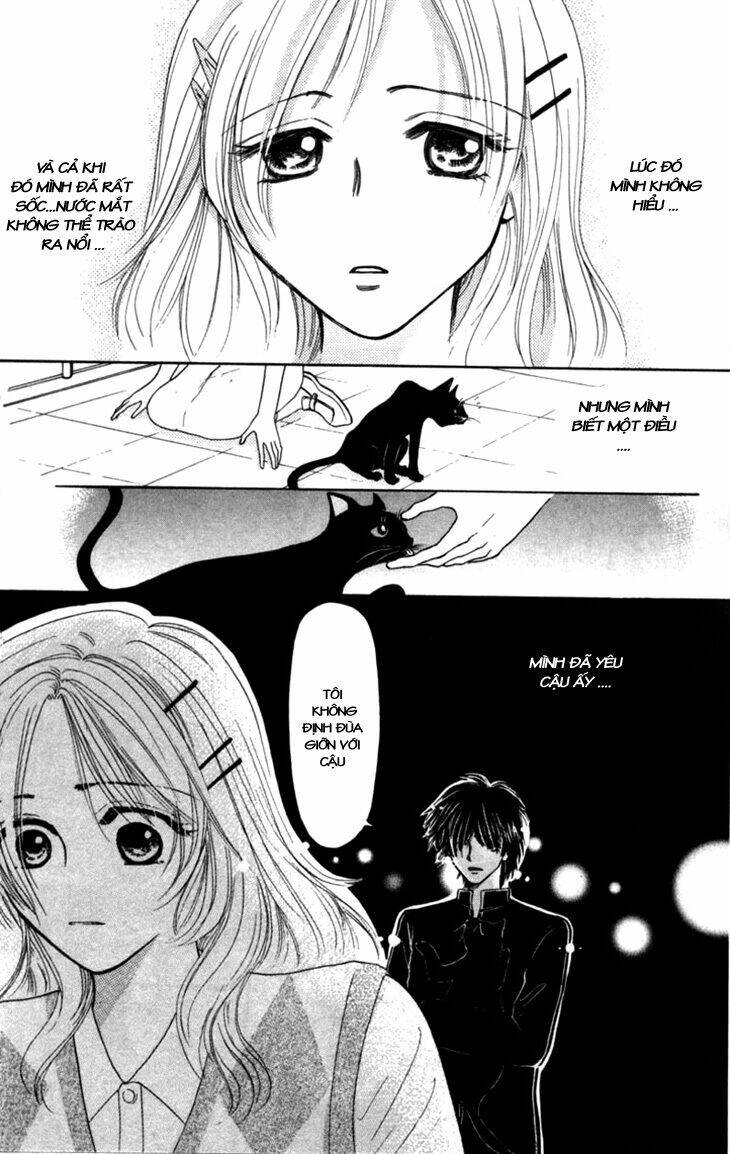 Tổng Hợp One Shot Chapter 295 - Trang 2