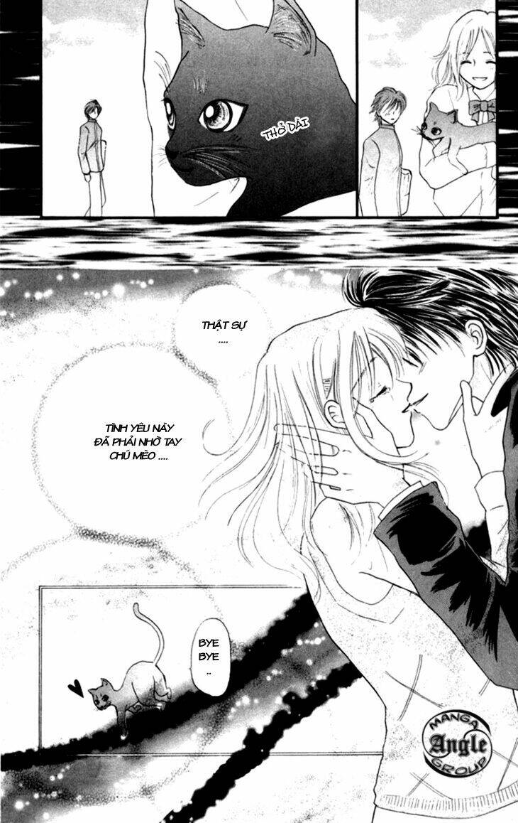 Tổng Hợp One Shot Chapter 295 - Trang 2