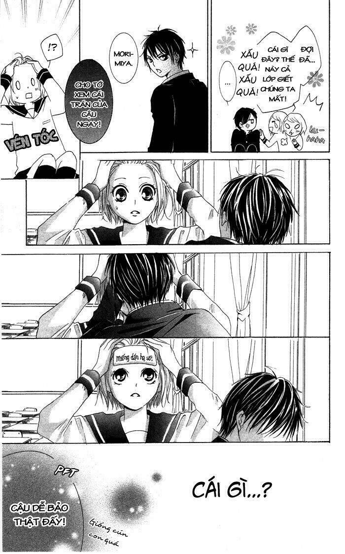 Tổng Hợp One Shot Chapter 313 - Trang 2