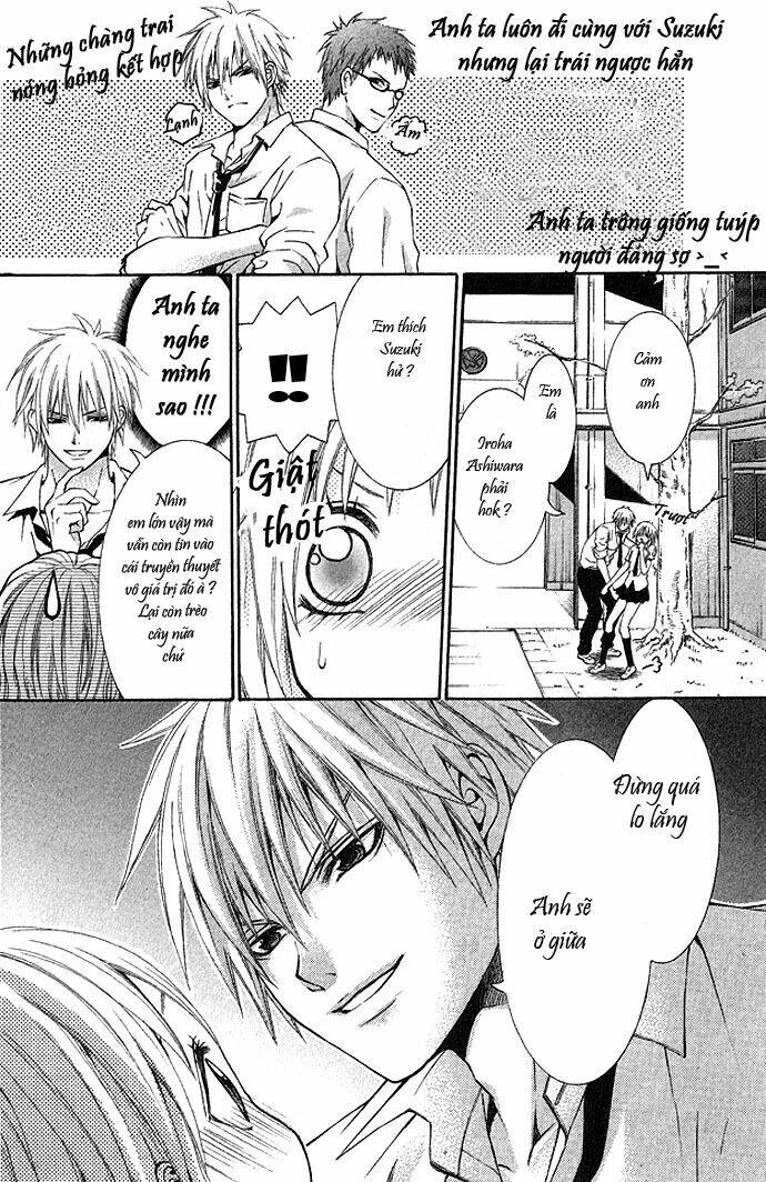 Tổng Hợp One Shot Chapter 342 - Trang 2