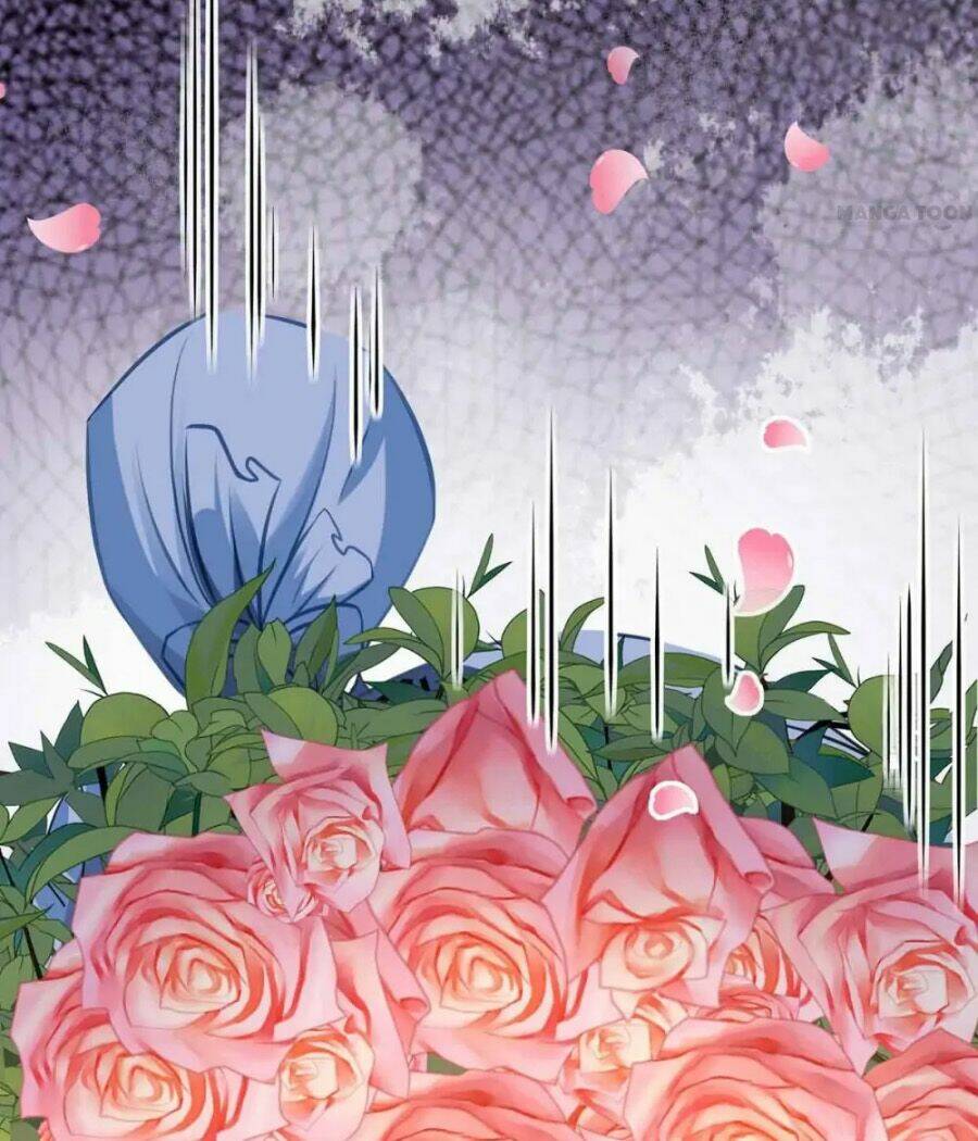 Tổng Tài Bá Đạo Cầu Ôm Ôm Chapter 194 - Trang 2