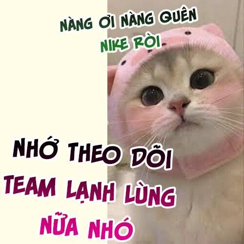 Tổng Tài Bá Đạo Hóa Ra Lại Là Người Hầu Chapter 11 - Trang 2