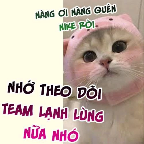 Tổng Tài Bá Đạo Hóa Ra Lại Là Người Hầu Chapter 6 - Trang 2