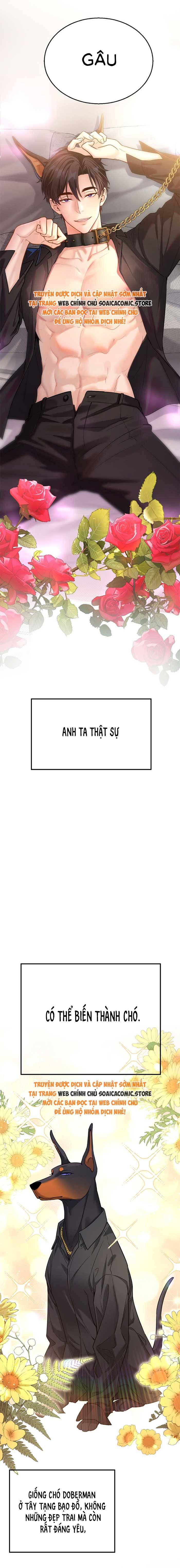 Tổng Tài Chó Chapter 0 - Trang 2