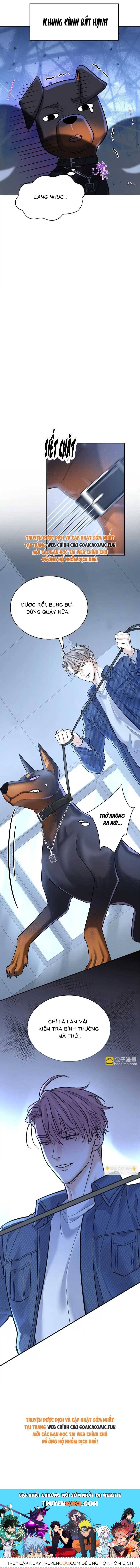 Tổng Tài Chó Chapter 13 - Trang 2