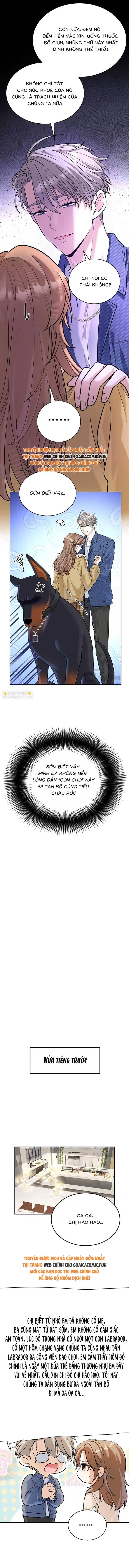 Tổng Tài Chó Chapter 13 - Trang 2