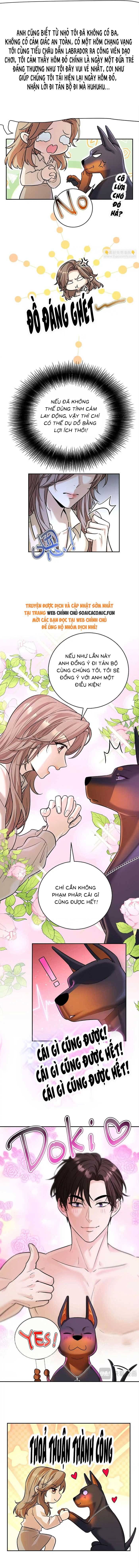 Tổng Tài Chó Chapter 13 - Trang 2