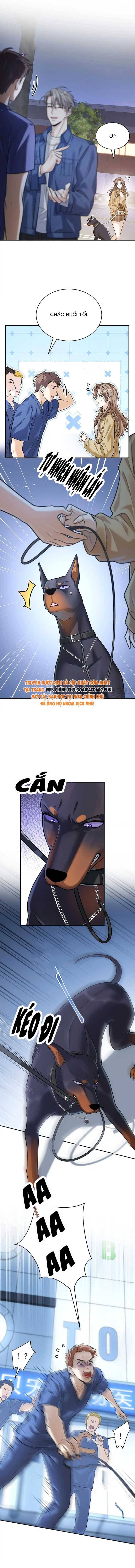 Tổng Tài Chó Chapter 13 - Trang 2