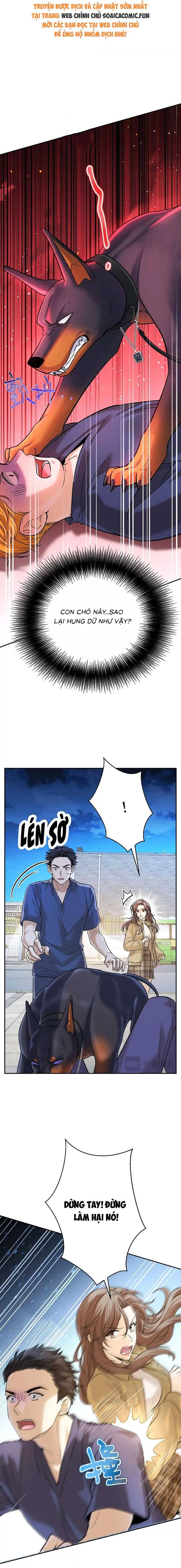 Tổng Tài Chó Chapter 13 - Trang 2