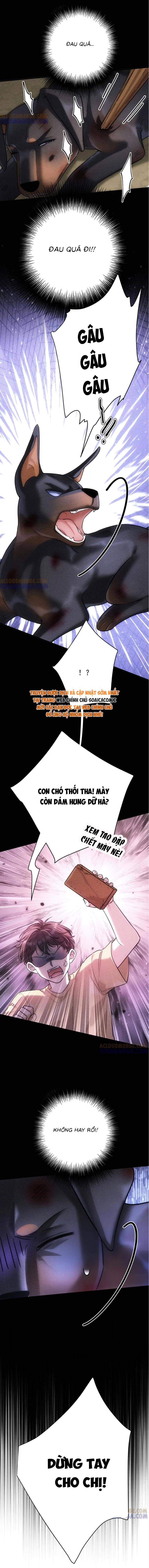 Tổng Tài Chó Chapter 47 - Trang 2