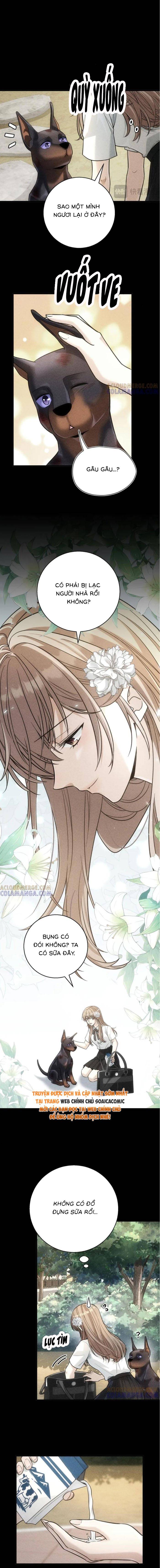 Tổng Tài Chó Chapter 47 - Trang 2