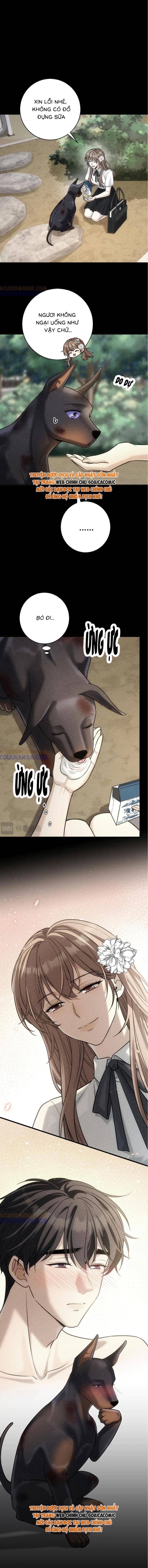Tổng Tài Chó Chapter 47 - Trang 2