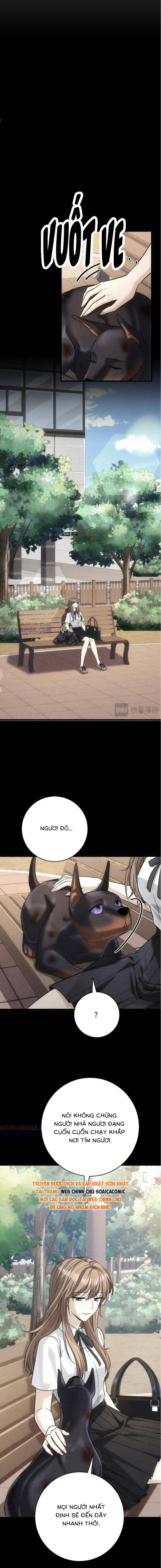 Tổng Tài Chó Chapter 47 - Trang 2