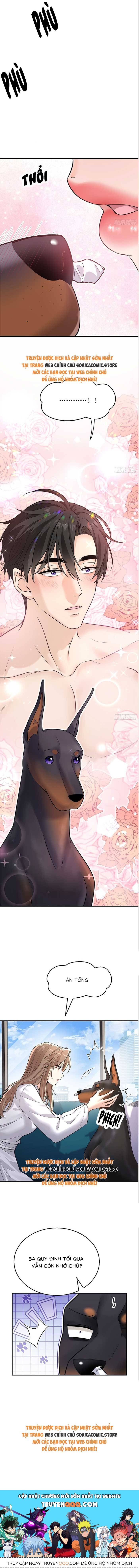 Tổng Tài Chó Chapter 6 - Trang 2