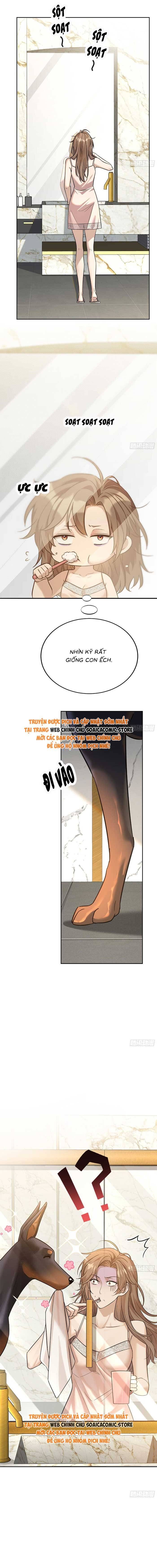 Tổng Tài Chó Chapter 6 - Trang 2