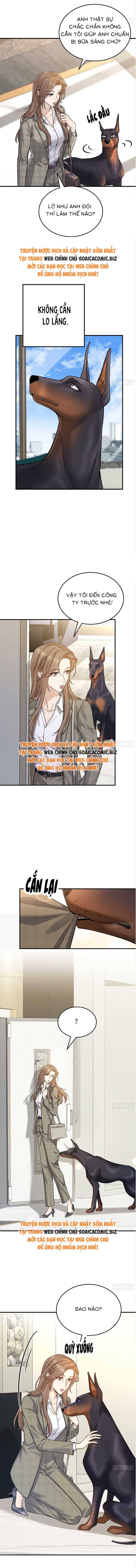 Tổng Tài Chó Chapter 7 - Trang 2