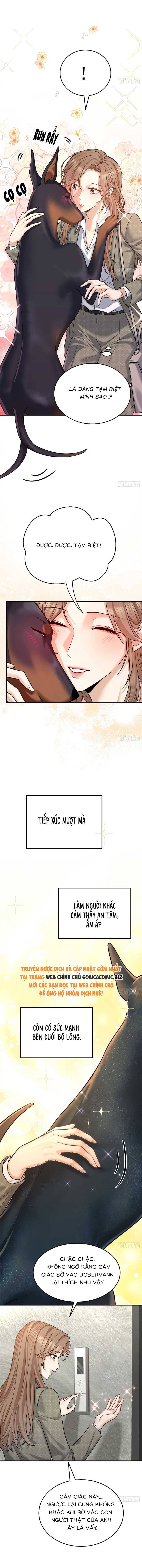 Tổng Tài Chó Chapter 7 - Trang 2
