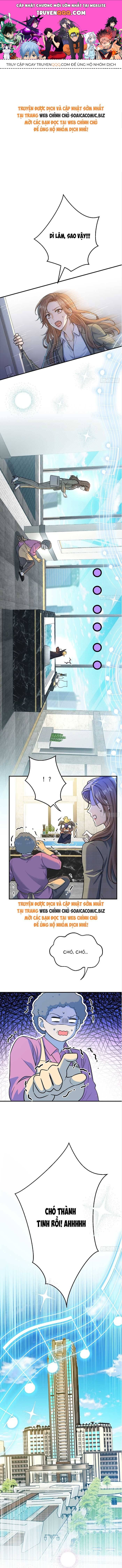 Tổng Tài Chó Chapter 8 - Trang 2