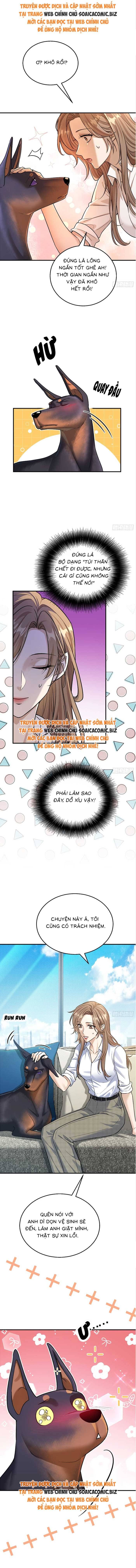Tổng Tài Chó Chapter 8 - Trang 2