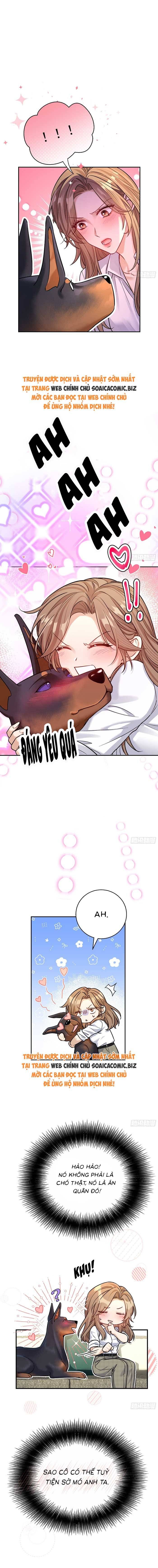 Tổng Tài Chó Chapter 8 - Trang 2