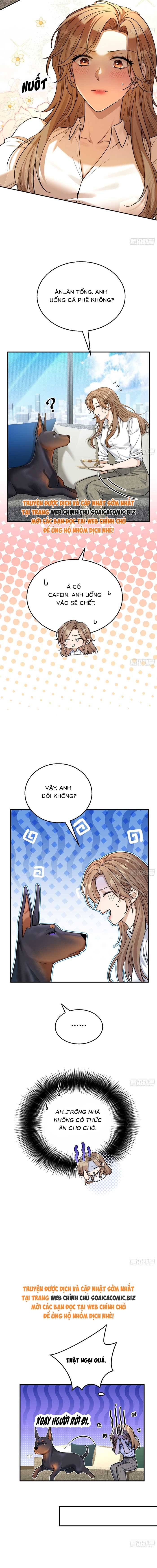 Tổng Tài Chó Chapter 8 - Trang 2