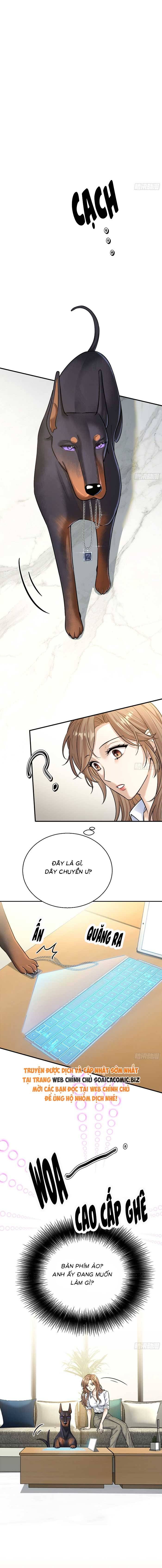 Tổng Tài Chó Chapter 8 - Trang 2
