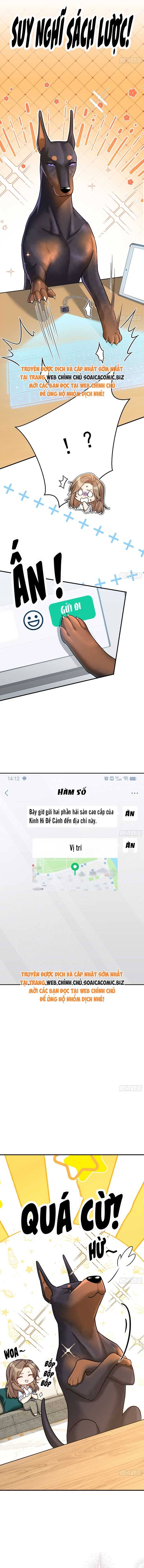 Tổng Tài Chó Chapter 8 - Trang 2