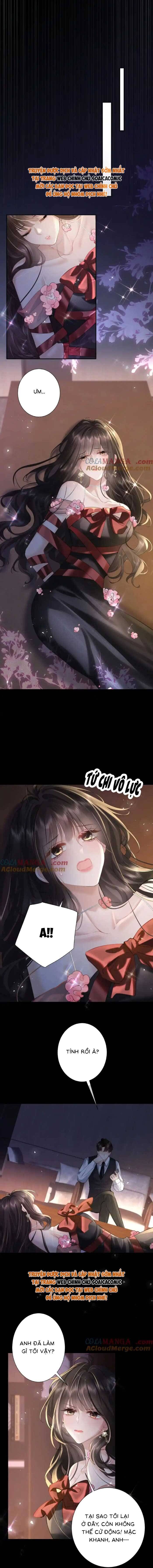 Tổng Tài Cố Chấp, Xin Hãy Buông Tha Chapter 12 - Trang 2