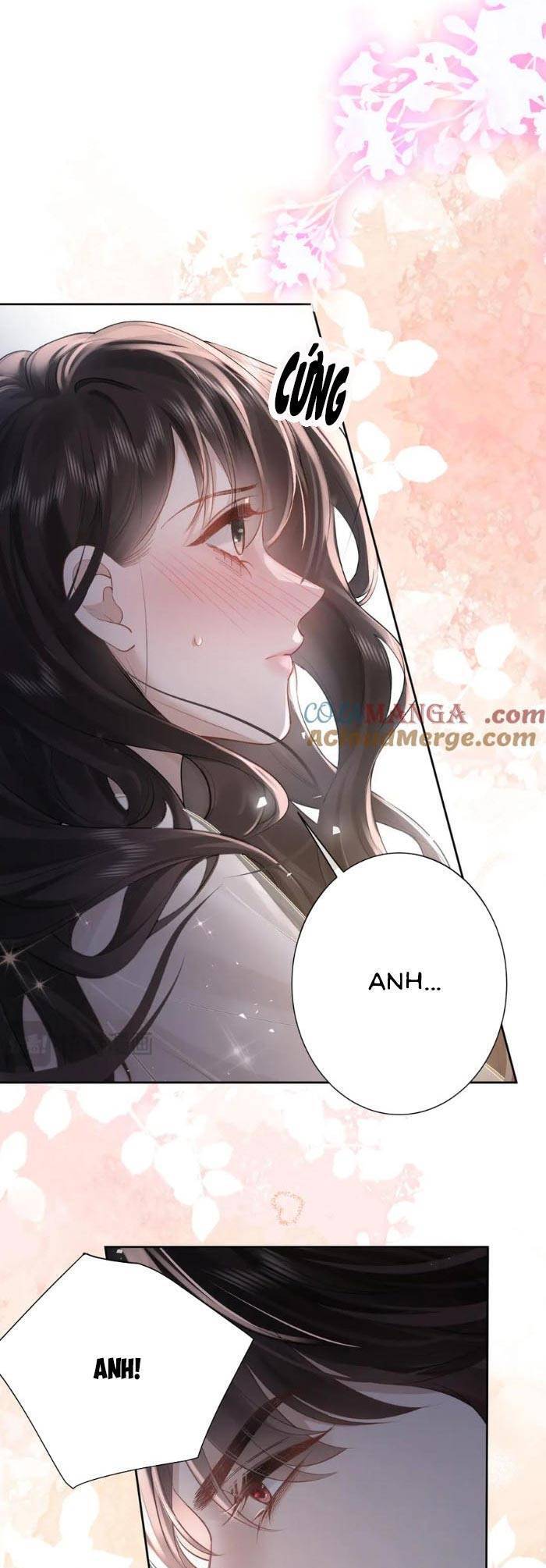 Tổng Tài Cố Chấp, Xin Hãy Buông Tha Chapter 15 - Trang 2