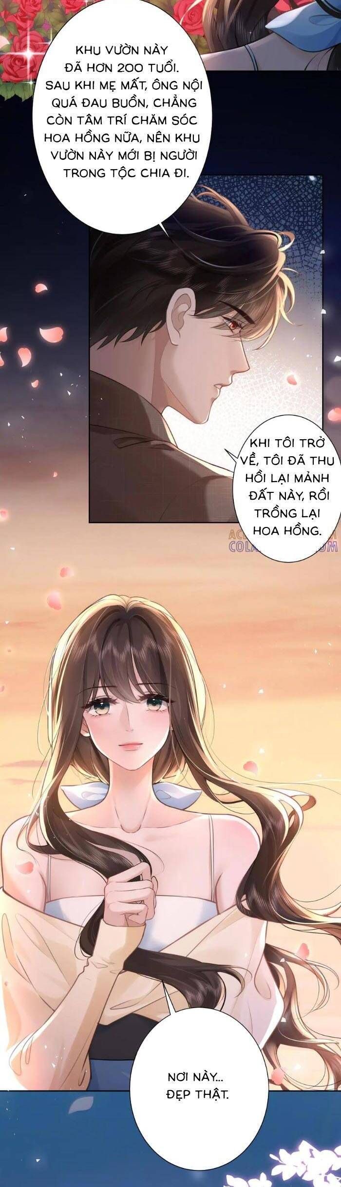 Tổng Tài Cố Chấp, Xin Hãy Buông Tha Chapter 28 - Trang 2