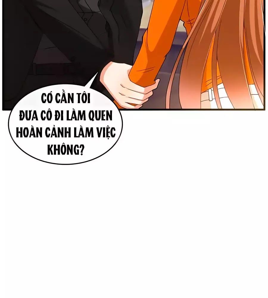 Tổng Tài Daddy Đuổi Tới Nơi Rồi Chapter 10 - Trang 2