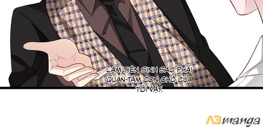 Tổng Tài Daddy Đuổi Tới Nơi Rồi Chapter 106 - Trang 2