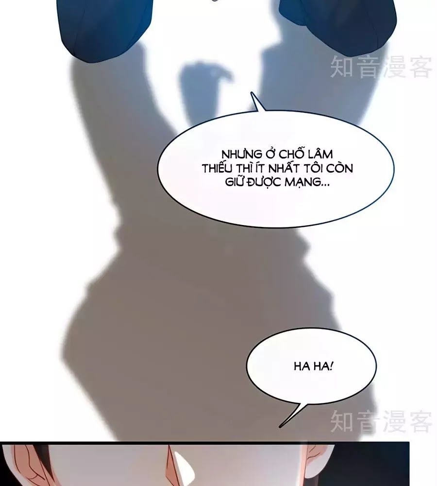 Tổng Tài Daddy Đuổi Tới Nơi Rồi Chapter 23 - Trang 2