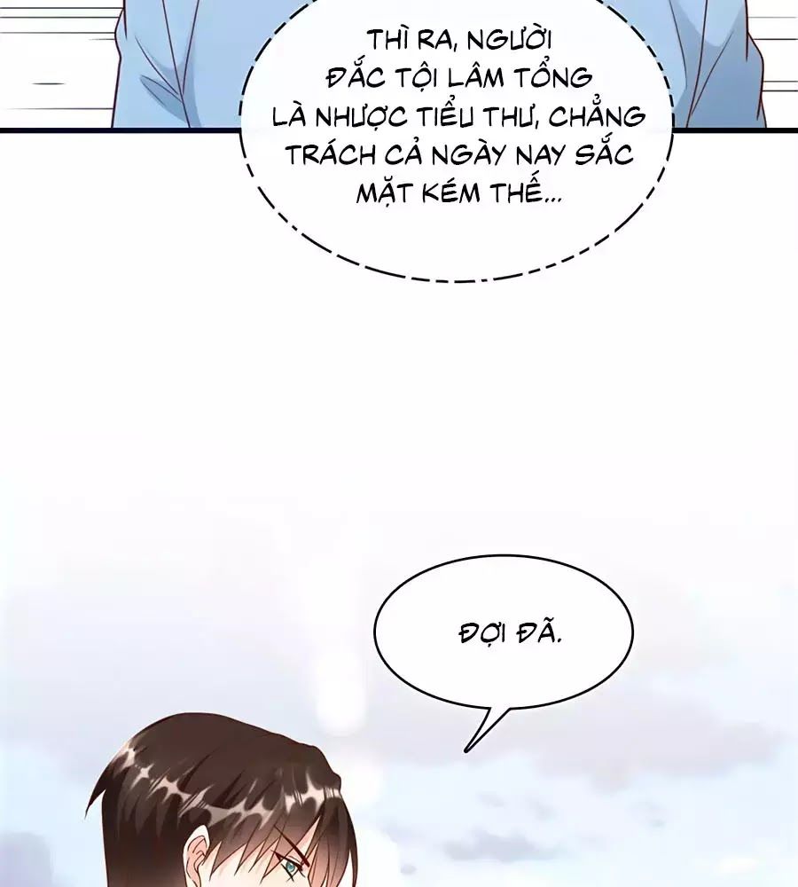 Tổng Tài Daddy Đuổi Tới Nơi Rồi Chapter 28 - Trang 2