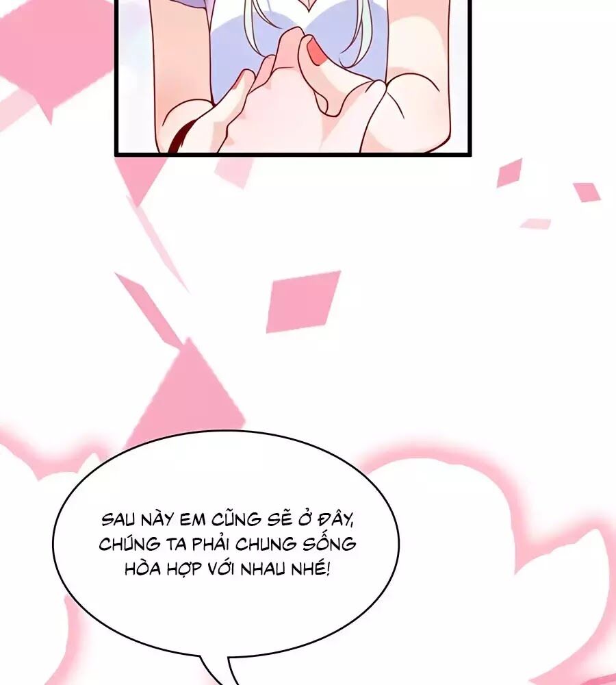 Tổng Tài Daddy Đuổi Tới Nơi Rồi Chapter 33 - Trang 2