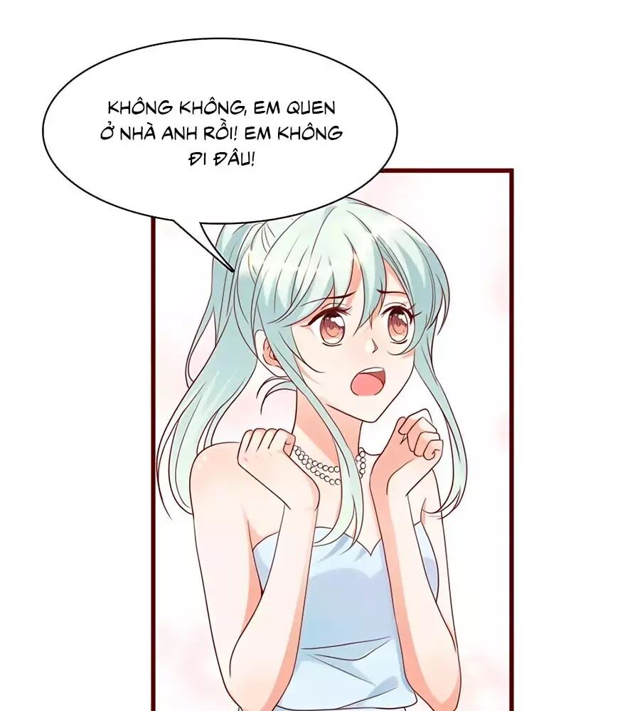 Tổng Tài Daddy Đuổi Tới Nơi Rồi Chapter 35 - Trang 2